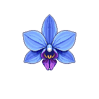 environment nature 0052