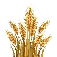 environment nature 0053