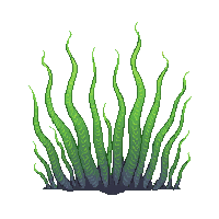 environment nature 0056