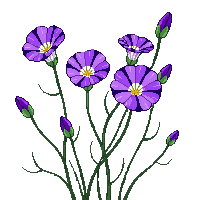 environment nature 0059