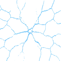 environment nature 0074