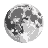 environment nature 0095