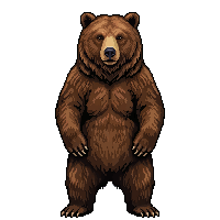 bear flat