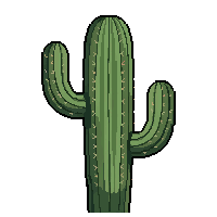 cactus flat