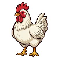 chicken flat