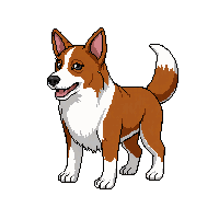 farming dog farm collie brown white