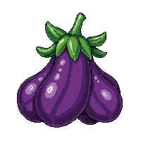 farming eggplant crop dark purple long