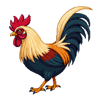 farming rooster colorful crowing dawn