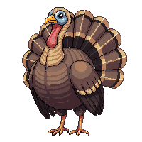 farming turkey large brown feathered