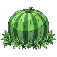 farming watermelon crop striped green large