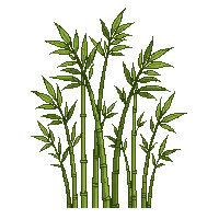 bamboo shoots green thin tall cluster grove