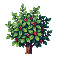 berry bush red berries green leaves small