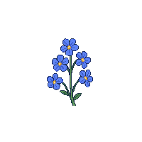blue forget me not tiny cluster five petals