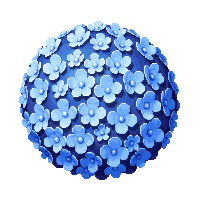 blue hydrangea cluster round ball many petals