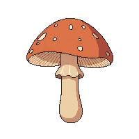 brown mushroom round cap thin stem edible