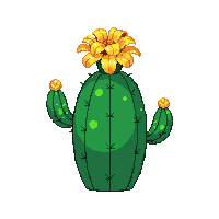 cactus blooming yellow flower top green small