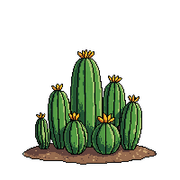cactus cluster group several small green desert