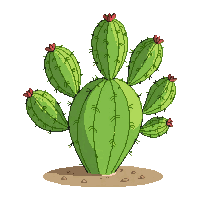 cactus prickly pear flat green paddles fruit