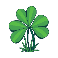 clover patch green ground cover three leaf