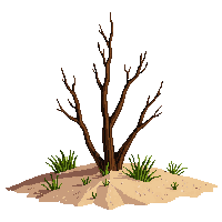 dead bush brown dry bare twigs desert