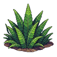 fern bush green lush fronds forest floor