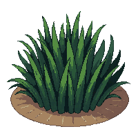 grass clump dark green thick dense tufted