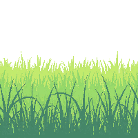 grass tall wild green meadow swaying field