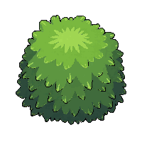 green bush large wild untrimmed spreading natural