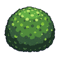 green bush round small trimmed garden hedge