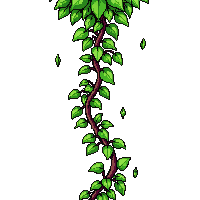 ivy vine climbing green leaves wall creeping
