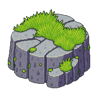 lichen patch gray green rock surface organic