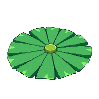 lily pad green round flat floating water