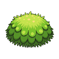 moss clump green soft spongy ground cover