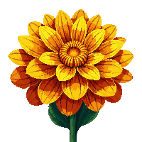 orange marigold flower round dense layered petals