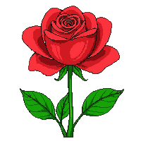 red rose bloom full petals green stem