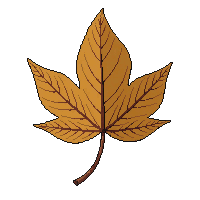 single dried leaf brown curled autumn dead