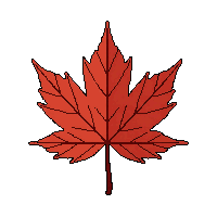 single maple leaf red autumn five pointed