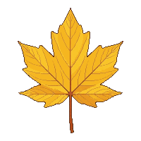 single maple leaf yellow autumn five pointed
