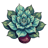 succulent rosette green blue compact fat leaves