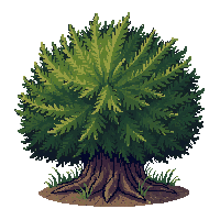 thorny bush dark green sharp bramble tangled