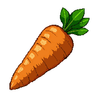 ingredient carrot orange fresh green top