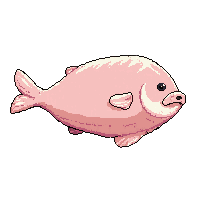 ingredient chicken raw whole pink