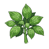 ingredient herb basil green leaves fresh