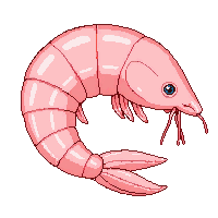 ingredient shrimp raw pink curved