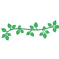 horizontal divider green vine leaves flowers