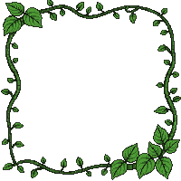 nature frame green vines leaves flowers border