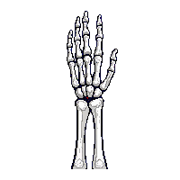 skeleton hand rising