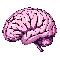 brain pink organ detailed wrinkled