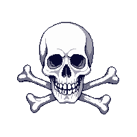 skull crossbones white icon