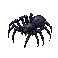 spider black eight legs large